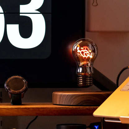 Dwelliy Magnetic Levitation Lamp