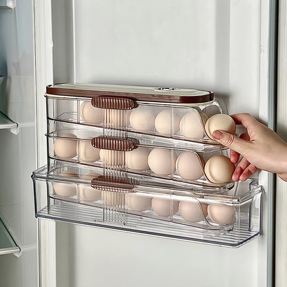 DwelliyTransparent Egg Holder